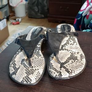 Snakeskin flip flops